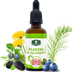 Plantas de los Riñones Extracto