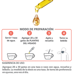 Plantas del Hígado Extracto