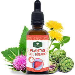 Plantas del Hígado Extracto